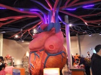 경기도 용인 가볼만한곳 - 놀면서 배우는 체험학습 추천 경기도어린이박물관 | 여행이야기 | 추천여행 | 경기관광플랫폼