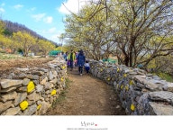 경기도 이천 추천여행 - 이천여행,이천산수유마을 | 여행이야기 | 추천여행 | 경기관광플랫폼