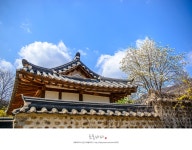 경기도 이천 추천여행 - 이천여행,이천산수유마을 | 여행이야기 | 추천여행 | 경기관광플랫폼