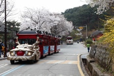 경기도 수원 추천여행 - 팔달산 봄 꽃길 트래킹 | 여행이야기 | 추천여행 | 경기관광플랫폼