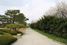 경기도 안성 추천여행 -장독대의 풍경이 멋스러운 서일농원 | 여행이야기 | 추천여행 | 경기관광플랫폼