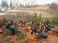 부천시 2014년까지 나무 1백만 그루 심는다 < 사람들 < 문화 < 기사본문 - 글로벌뉴스통신GNA 부천시 2014년까지 나무 1백만 그루 심는다... 