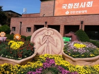 국화 얹은 초대형 호두과자 < 포토뉴스 < 교육 < 기사본문 - 글로벌뉴스통신GNA 국화 얹은 초대형 호두과자 - 글로벌뉴스통신GNA