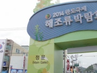 완도군, 2014 완도국제 박람회 열어 < 포토뉴스 < 이슈종합 < 사회... 글로벌뉴스통신GNA 완도군, 2014 완도국제 박람회 열어... 