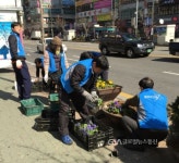 부천시 원미구 상3동, 봄이 오는 길목에 꽃단장 < 포토뉴스 < 이슈종합 < 사회 < 기사본문 - 글로벌뉴스통신GNA 부천시 원미구 상3동, 봄이 오는... 