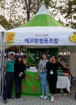녹색을 심는 도시형마을 공동체,‘에코팜 협동조합’ < 포토뉴스 < 생활경제 < 경제 < 기사본문 - 글로벌뉴스통신GNA 녹색을 심는 도시형마을... 