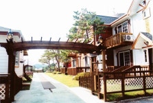 건축사사무소 대표작품 - 강릉시청