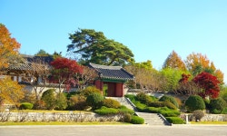 A special trip to appreciate the history and atmosphere of Gangneung > By recommendation > Travel to Gangneung > Tourism Gangneung EN