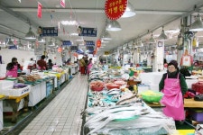 사진 - 강릉시청