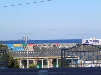 (구)솔향모니터 - 강릉시청