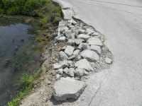 (구)솔향모니터 - 강릉시청