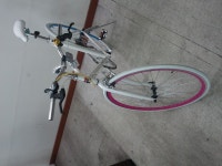 경상대학교 - 기타