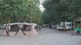 법흥 캠핑장 고캠핑