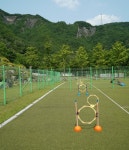 정선군생태체험학습장야영장 펫 동반 캠핑장