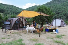 청산관광농원(트리독스)