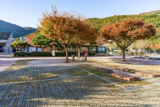 학동자동차 야영장