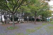 해오름 관광농원 고캠핑