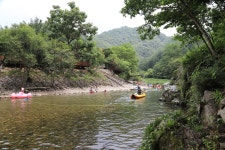 김삿갓계곡캠핑장