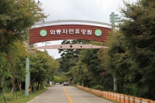 와룡자연휴양림 자동차야영장