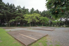 솔바람 캠핑장 고캠핑