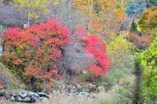 은석캠핑장 고캠핑