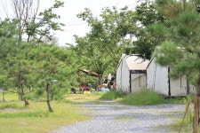 계곡과느티나무 캠핑장 고캠핑