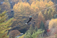 피노키오관광농원 야영장 고캠핑