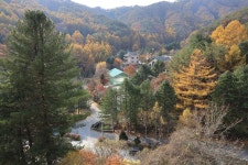 피노키오관광농원 야영장 고캠핑