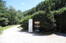 피노키오관광농원 야영장 고캠핑