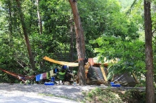 피노키오관광농원 야영장 고캠핑