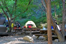 대운산자연휴양림 야영장 고캠핑