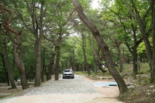 덕유대자동차야영장