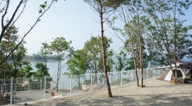 한국관광공사 고캠핑 모바일