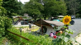 한국관광공사 고캠핑 모바일