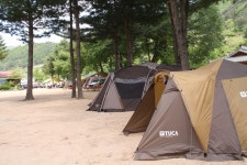 한국관광공사 고캠핑 모바일