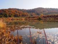 어느하늘아래~~ 晩秋 - 조황센터 | 피쉬앤피플 어느하늘아래~~ 晩秋