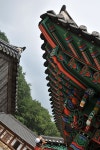 내가찍은곡성