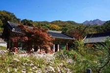 공주 문화관광 