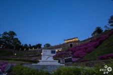 공주 문화관광 
