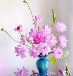 평생학습강사 현황 < 평생학습강사 < 네트워크 < 평생학습관 < 공주시 행복누림  평생학습강사 현황 > 평생학습강사 > 네트워크 > 평생학습관 >