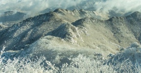 계룡산 > 공주의산 > 공주 관광명소 > 공주 문화관광  계룡산 > 공주의산 > 공주 관광명소 >