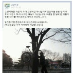 고양시청도 질수없다.jpg - 고급유머 고양시청도 질수없다.jpg