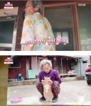 고양이 목에 생긴 혹이 걱정되는 할머니 .jpg - 고급유머 고양이 목에 생긴 혹이 걱정되는 할머니 .jpg