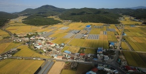 고령군 읍면사이트 - 운수면