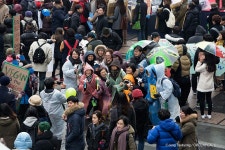 	CHTY3481.jpg | 그린피스 CHTY3481.jpg