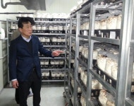 거창 신원면 표고버섯 배지재배 육성 한다