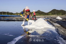 신안군 서울 염전에 베트남에서 온 새댁 덴디큐(신안탐방기3)