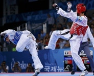 유럽올림픽 정식 종목 태권도