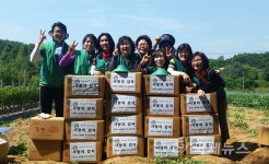 [포토]천안시 백석동새마을, 경로당 감자 전달