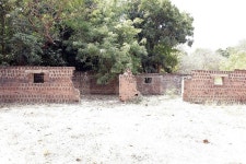 디자이너 이광희, 희망의 망고농장 10만여 평 증여 받아 \